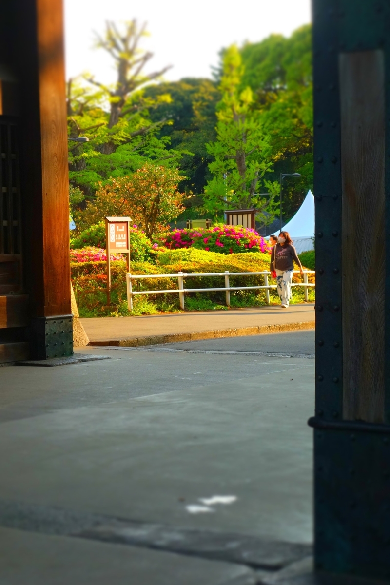 f:id:arashi_golf:20210429201314j:plain