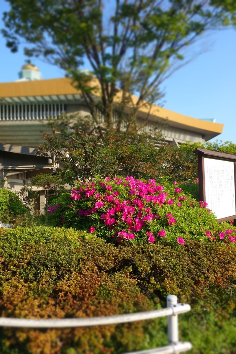 f:id:arashi_golf:20210429201338j:plain