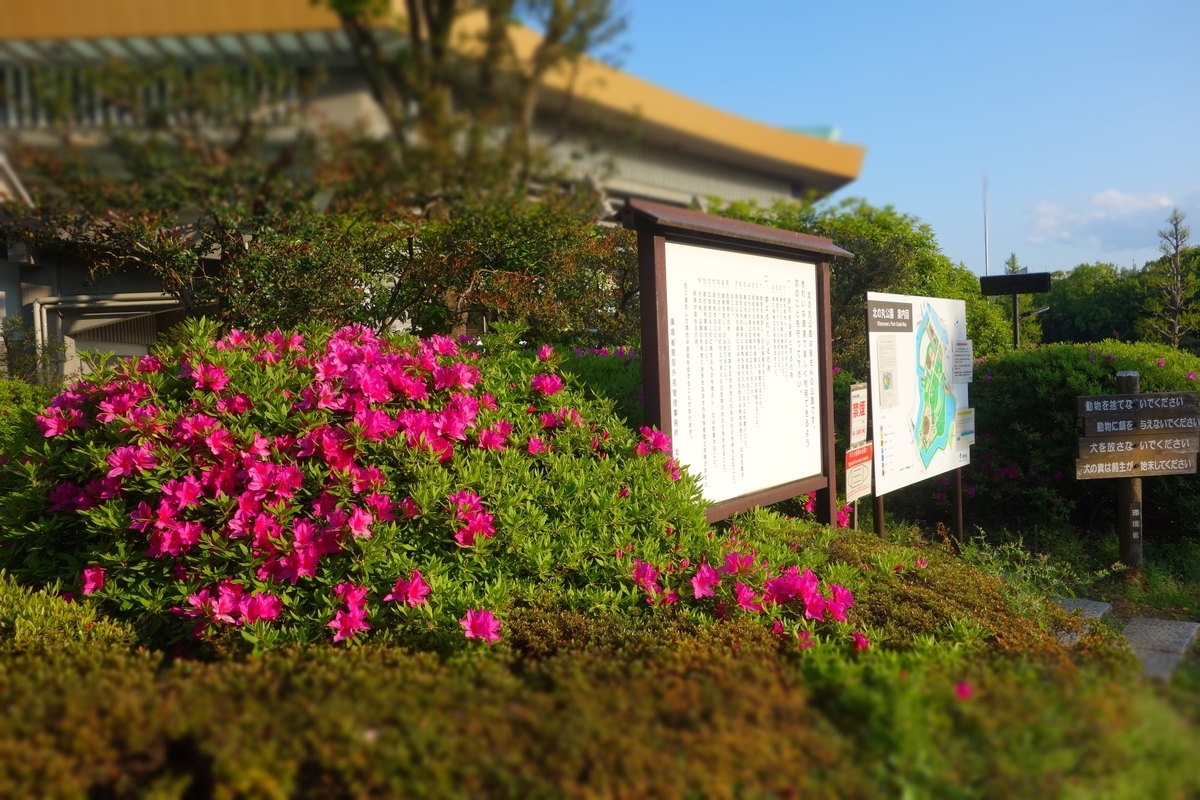 f:id:arashi_golf:20210429201356j:plain