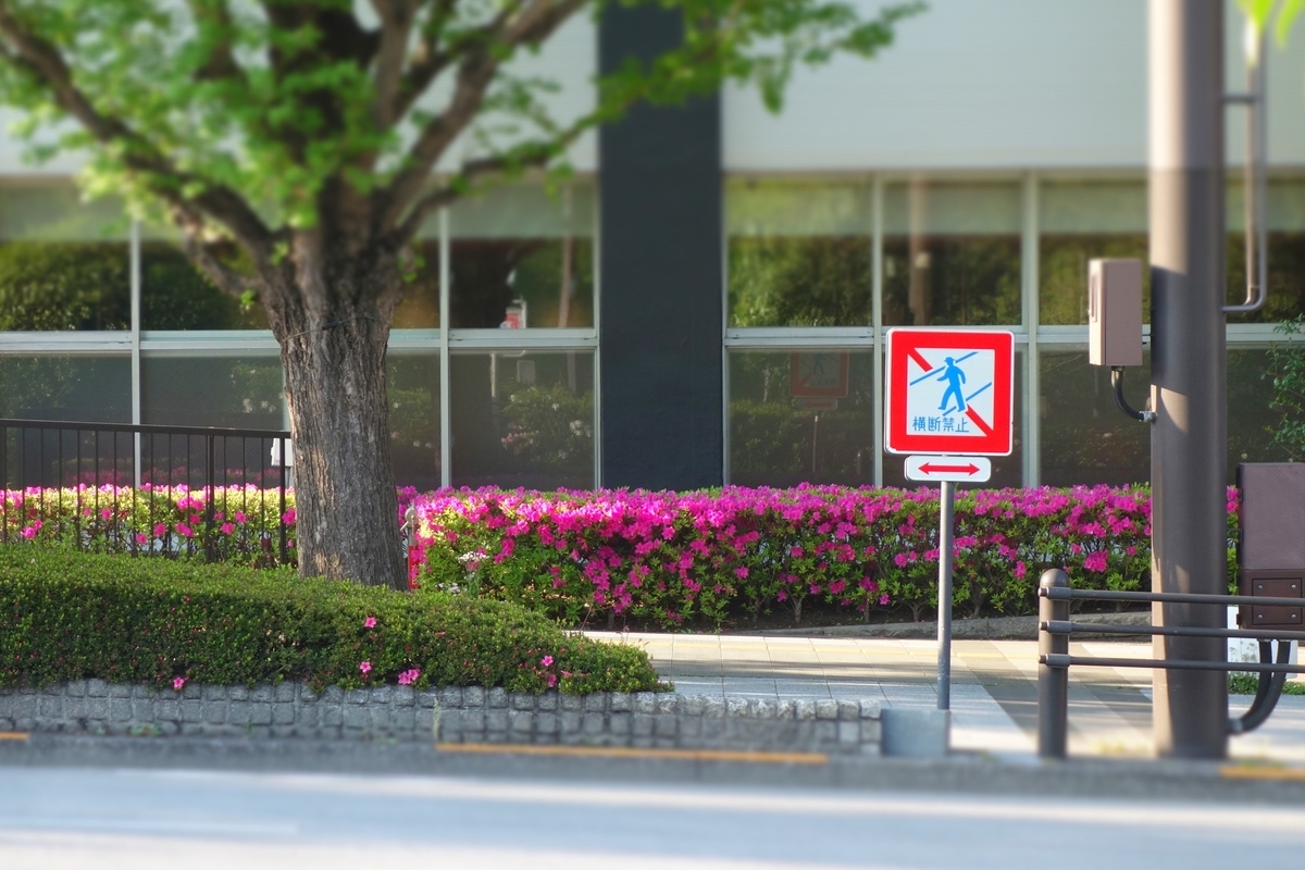 f:id:arashi_golf:20210430221302j:plain