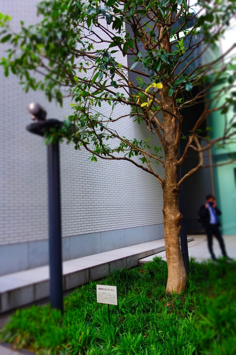 f:id:arashi_golf:20210517214938j:plain