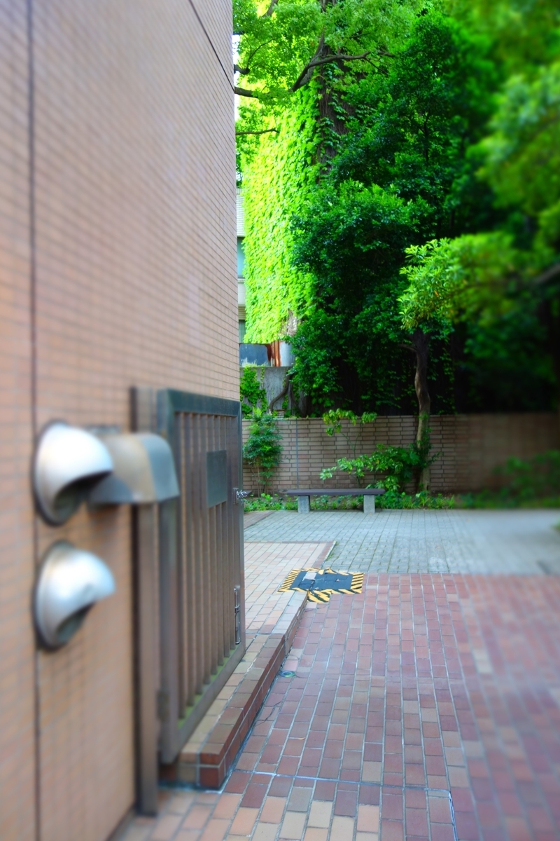 f:id:arashi_golf:20210612225737j:plain