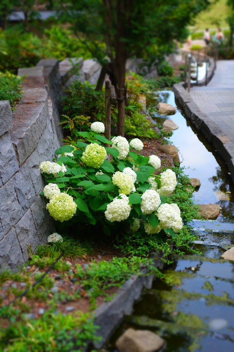 f:id:arashi_golf:20210613214028j:plain