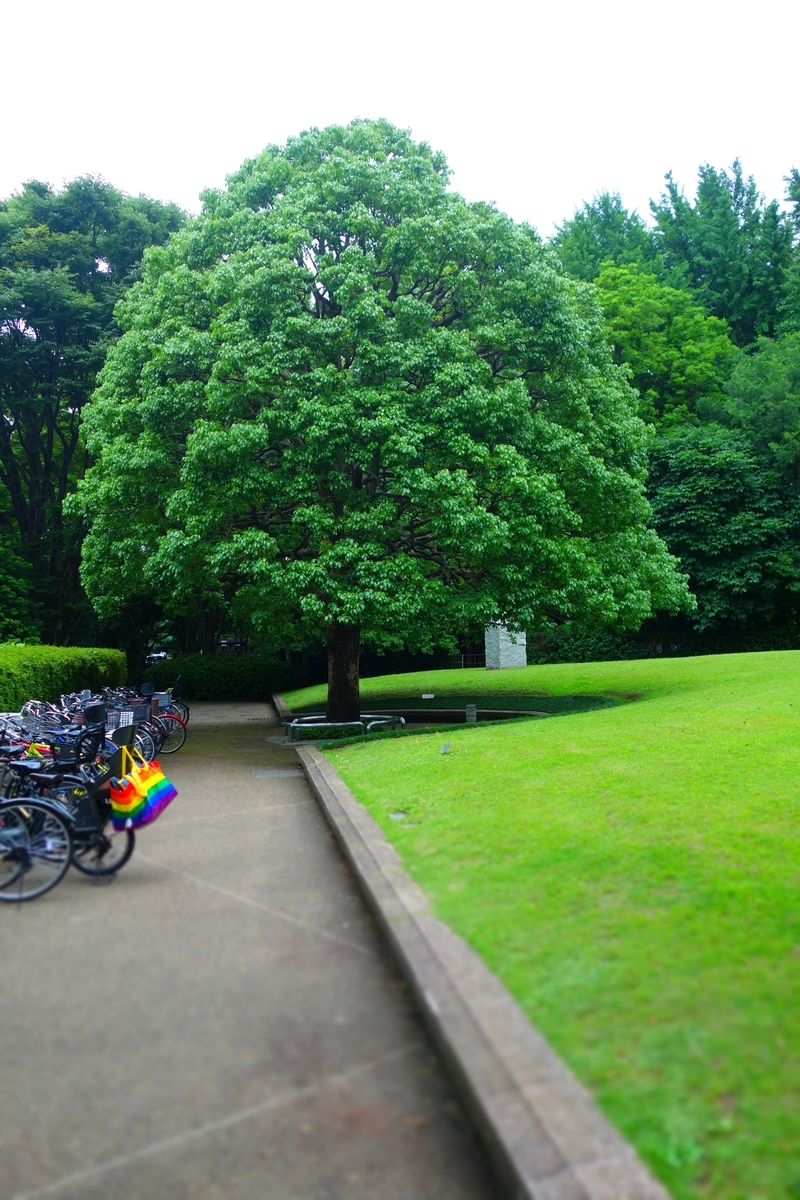 f:id:arashi_golf:20210619135245j:plain