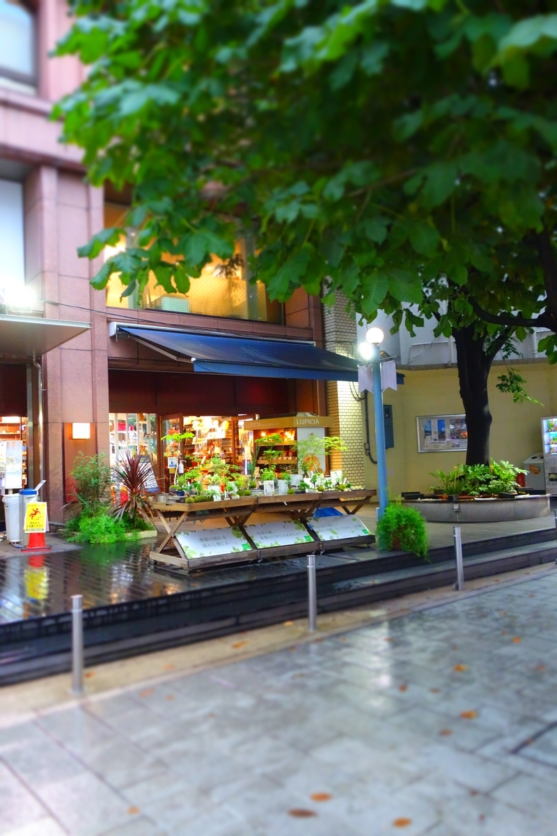 f:id:arashi_golf:20210712215151j:plain