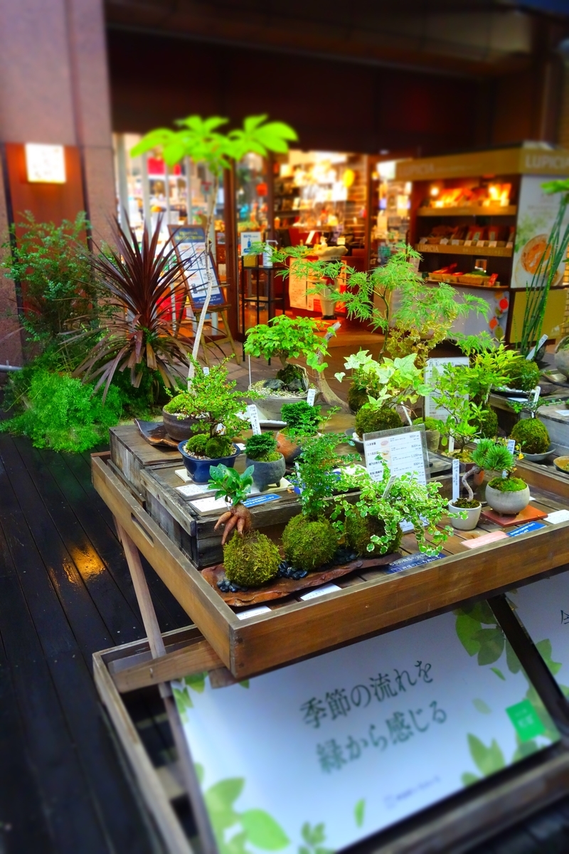 f:id:arashi_golf:20210712215244j:plain