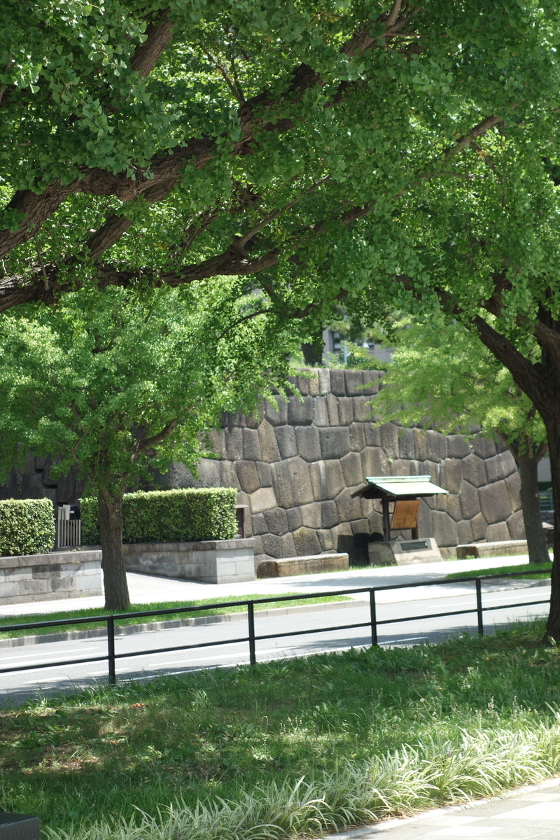 f:id:arashi_golf:20210801203424j:plain