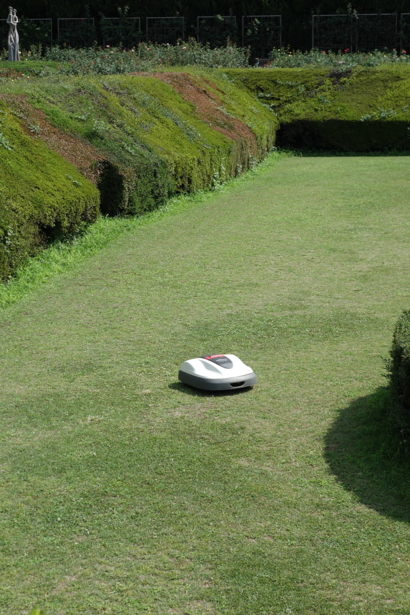 f:id:arashi_golf:20210808180844j:plain