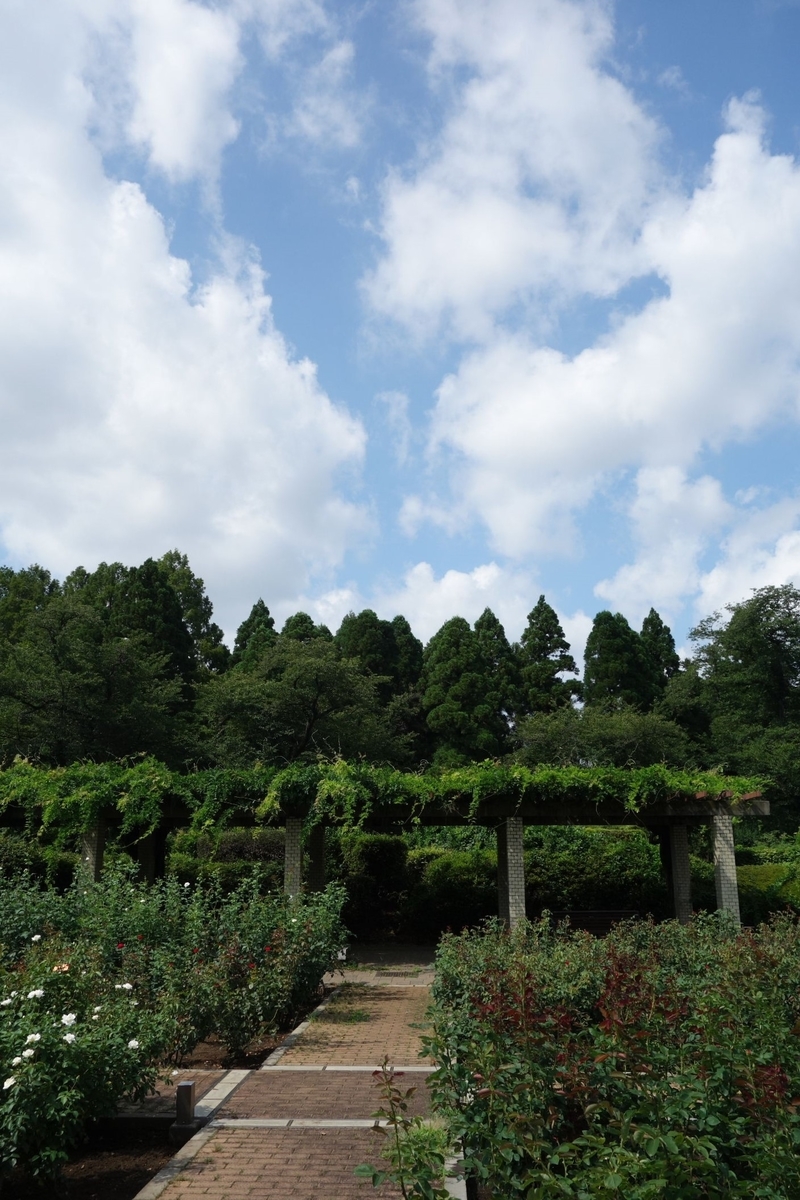 f:id:arashi_golf:20210808181154j:plain