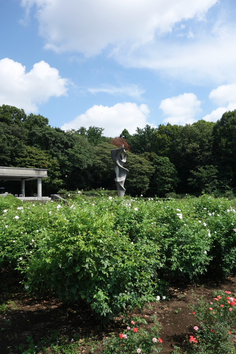 f:id:arashi_golf:20210808181252j:plain