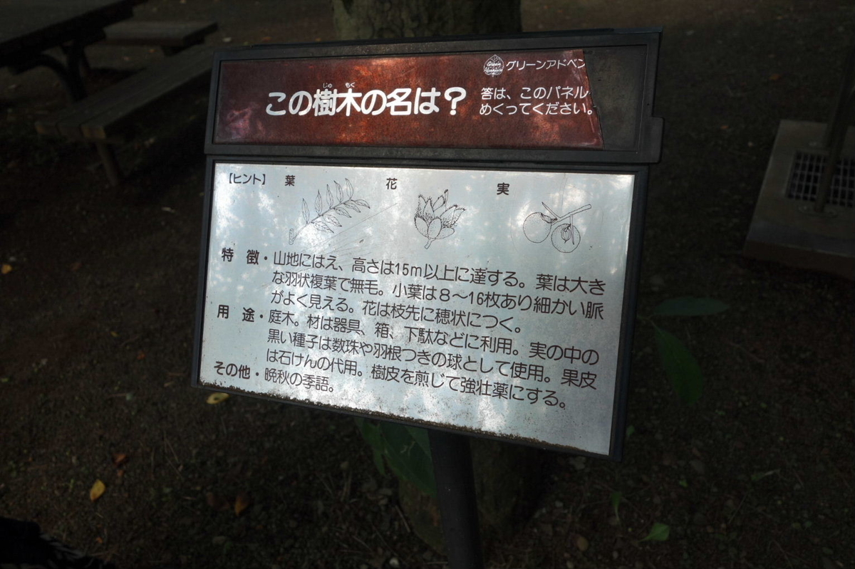 f:id:arashi_golf:20210809211733j:plain