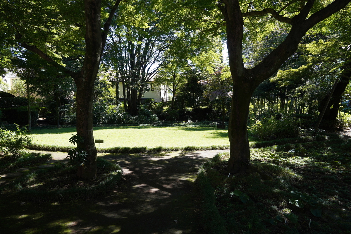 f:id:arashi_golf:20210923191419j:plain