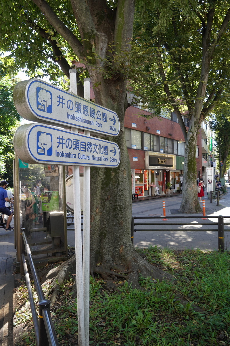 f:id:arashi_golf:20210926215034j:plain
