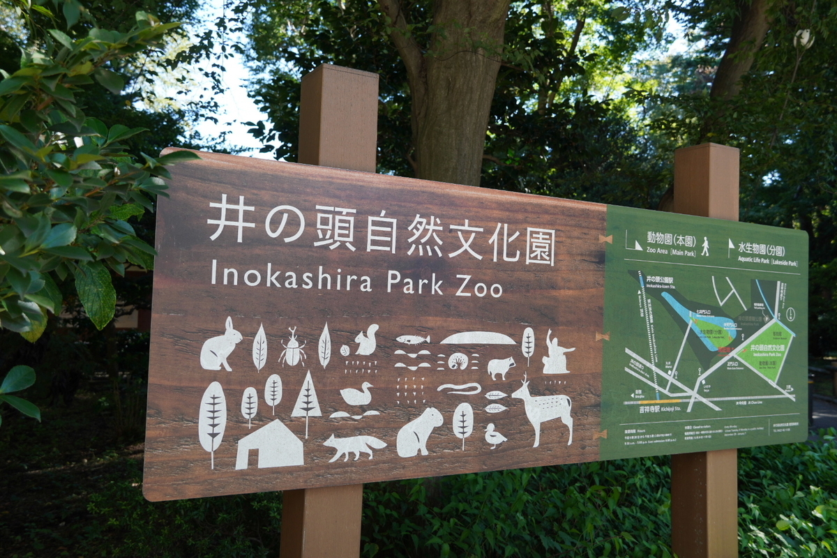 f:id:arashi_golf:20210926215502j:plain