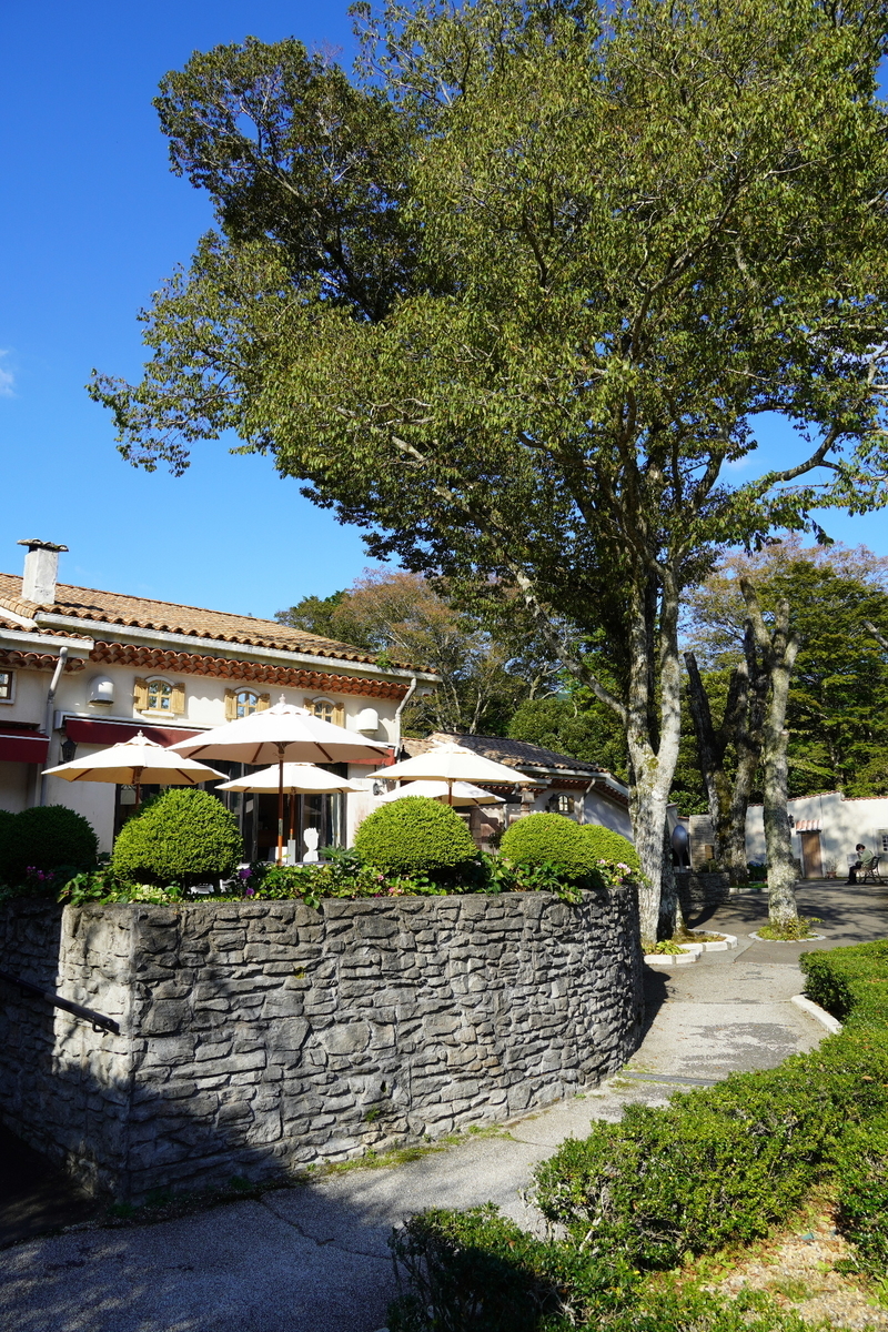 f:id:arashi_golf:20211022214047j:plain