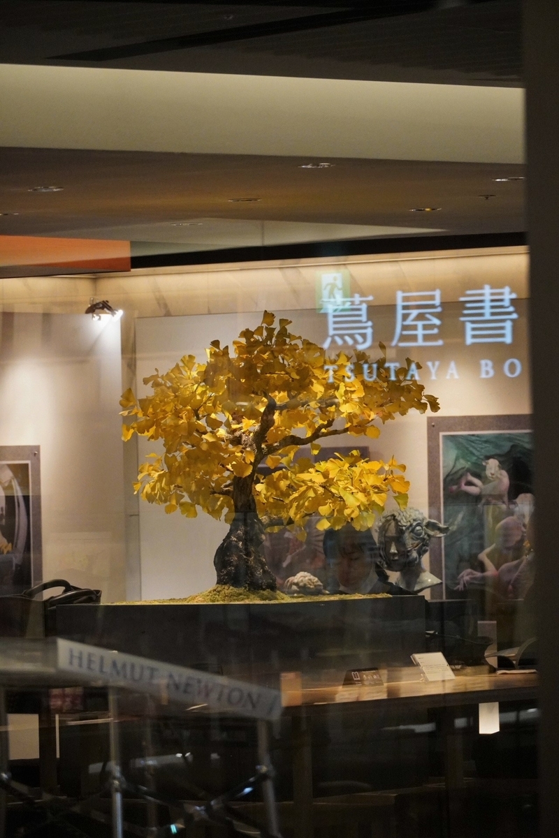 f:id:arashi_golf:20211108205245j:plain