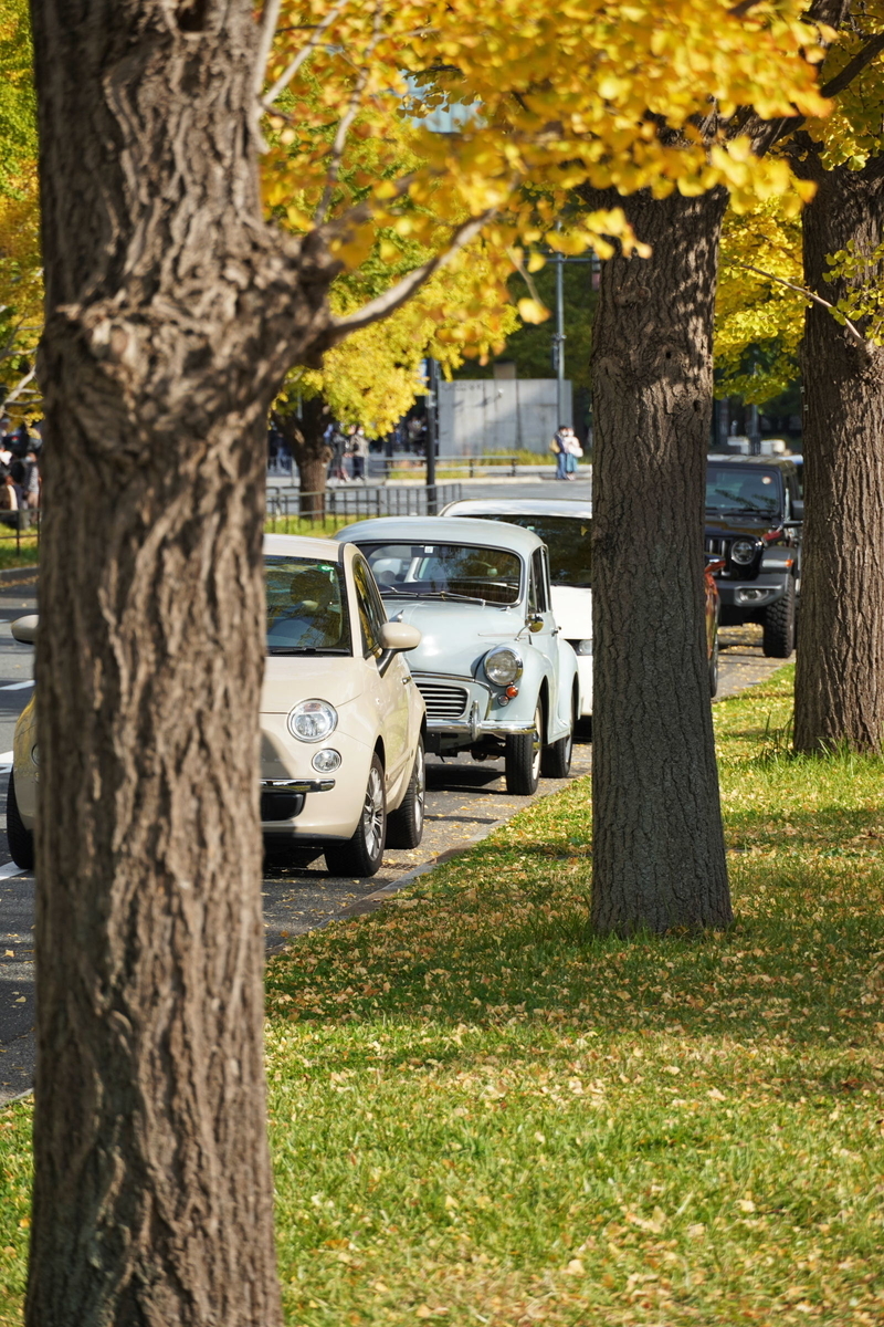 東京駅丸の内紅葉散歩 行幸通り 和田倉噴水公園 内堀通り 嵐 ゴルフ ミステリーの日々２