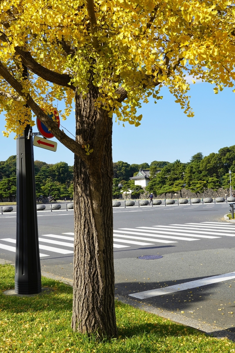 f:id:arashi_golf:20211121214229j:plain