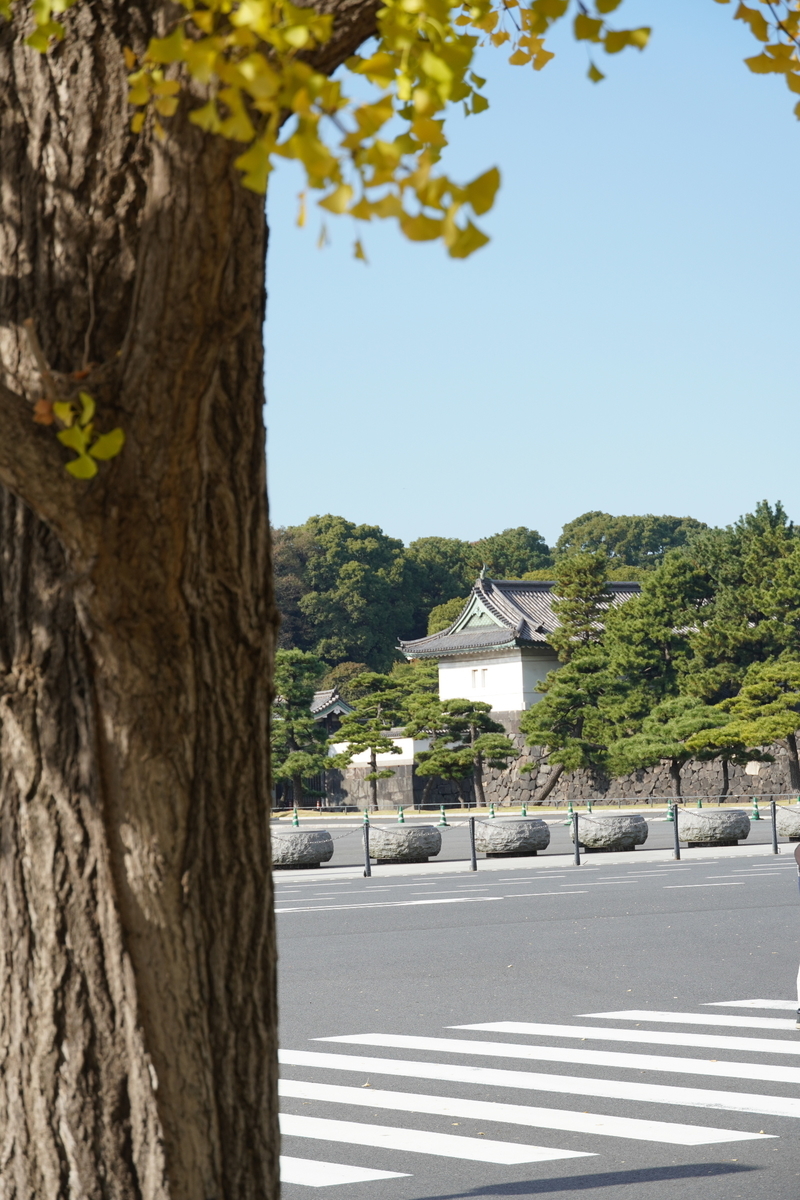 f:id:arashi_golf:20211121214314j:plain