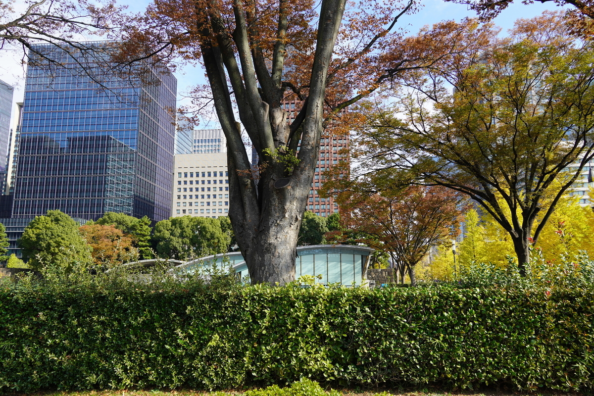 f:id:arashi_golf:20211121214935j:plain
