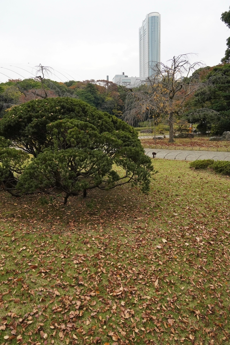 f:id:arashi_golf:20211127104709j:plain