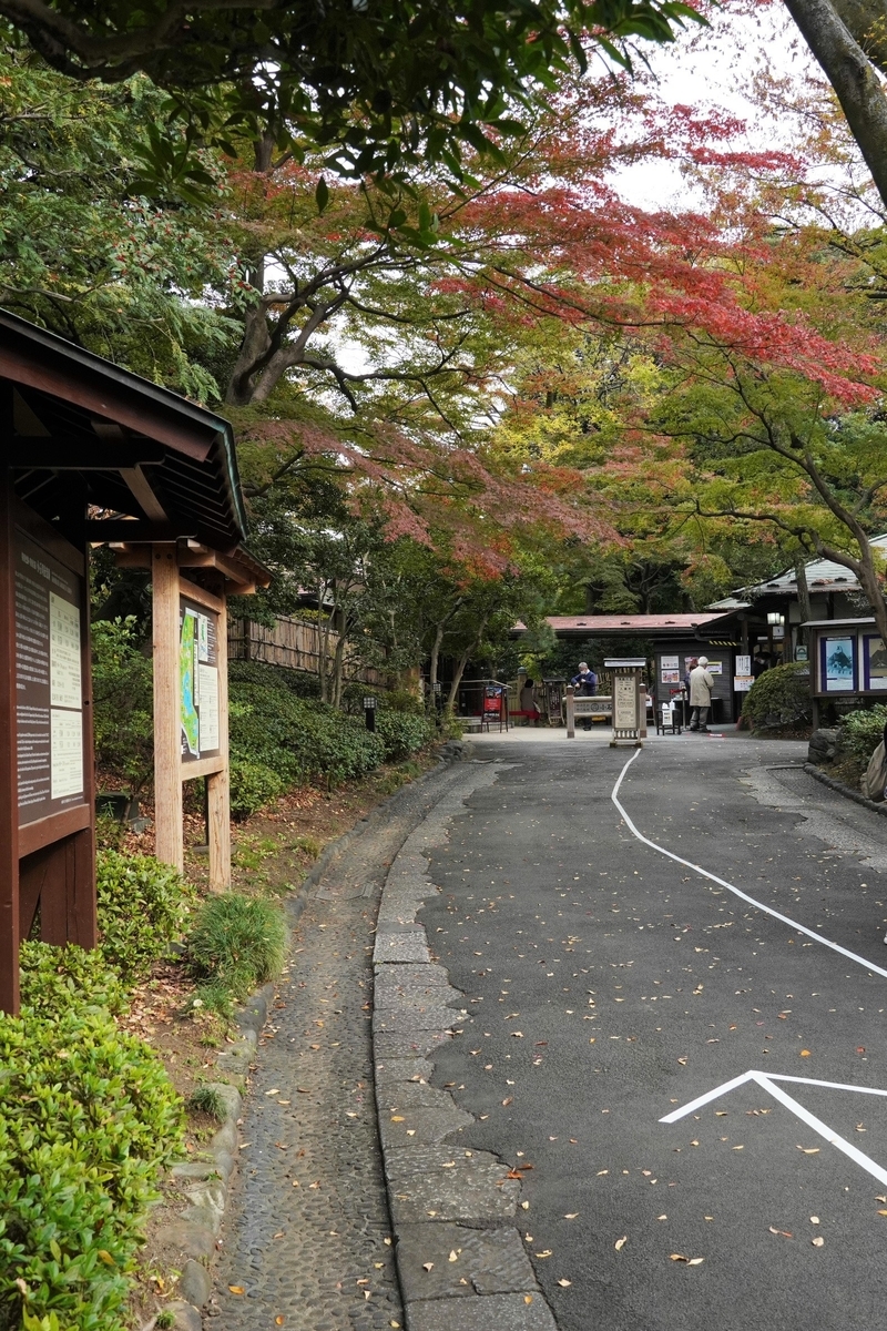 f:id:arashi_golf:20211127105546j:plain