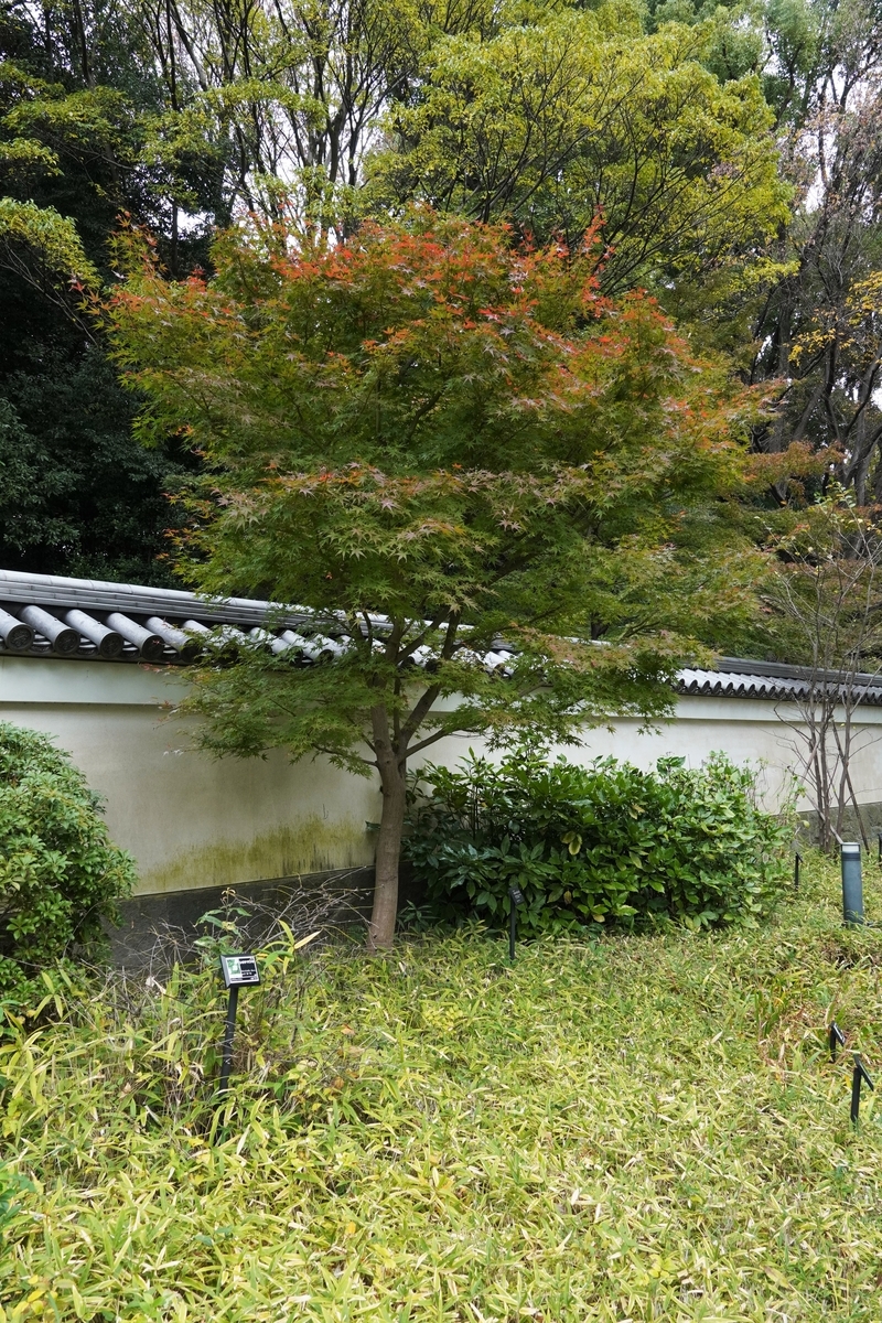 f:id:arashi_golf:20211127105633j:plain