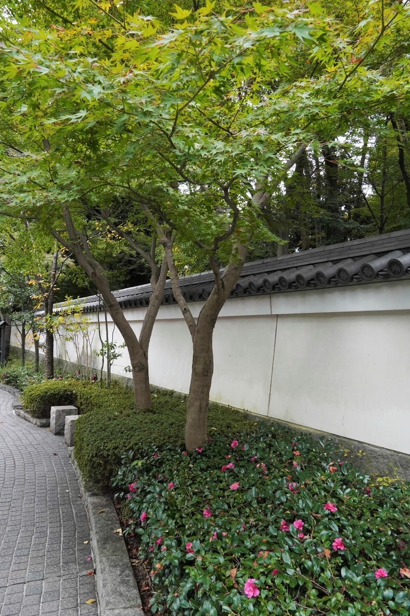 f:id:arashi_golf:20211127105916j:plain