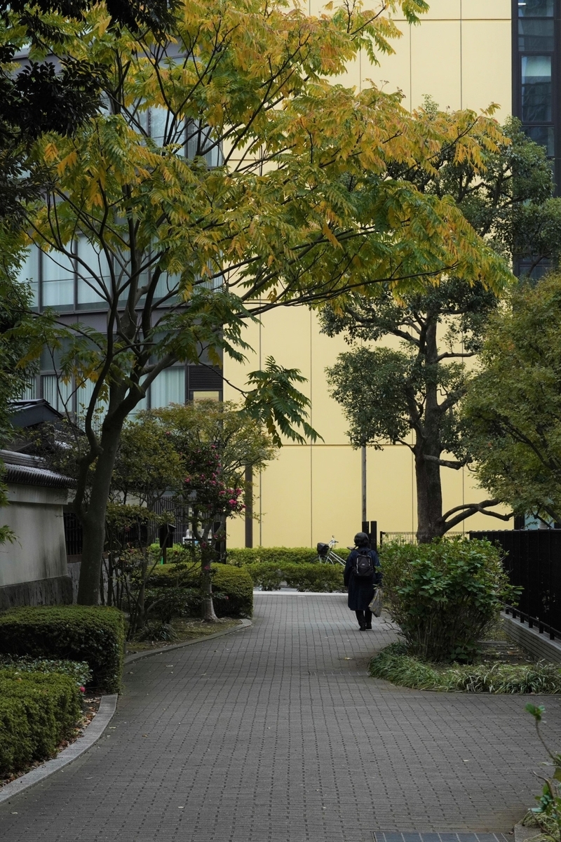 f:id:arashi_golf:20211127110212j:plain