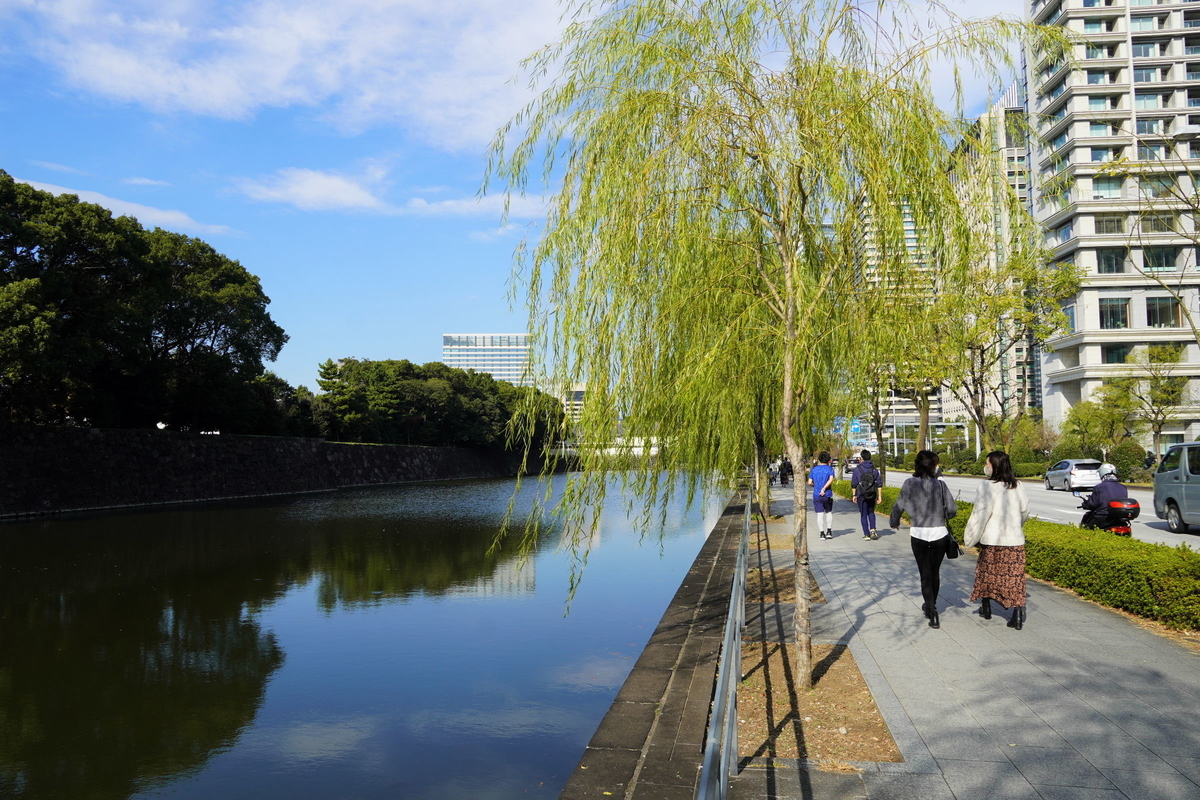 都内紅葉の名所巡り 内堀通り 大手門 皇居東御苑 嵐 ゴルフ ミステリーの日々２