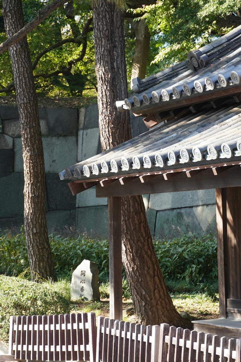 f:id:arashi_golf:20211128003133j:plain