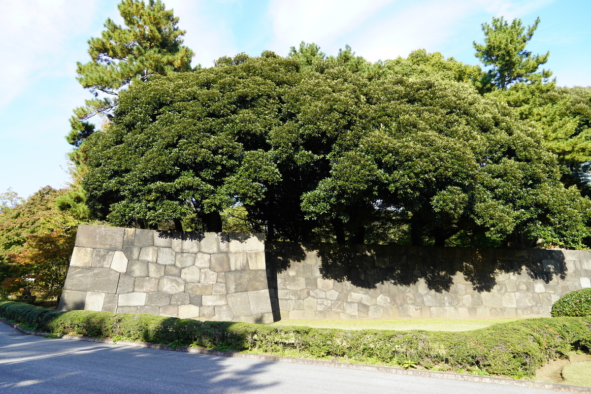 f:id:arashi_golf:20211128005106j:plain