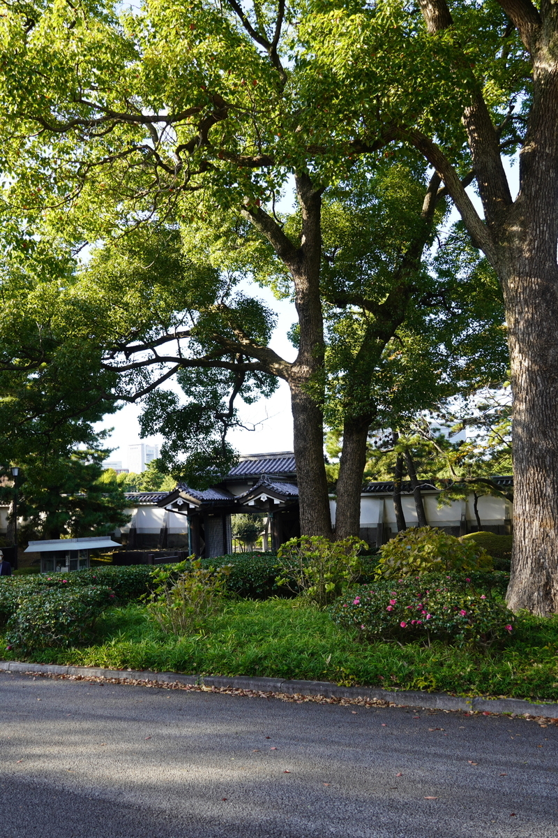 f:id:arashi_golf:20211129194202j:plain