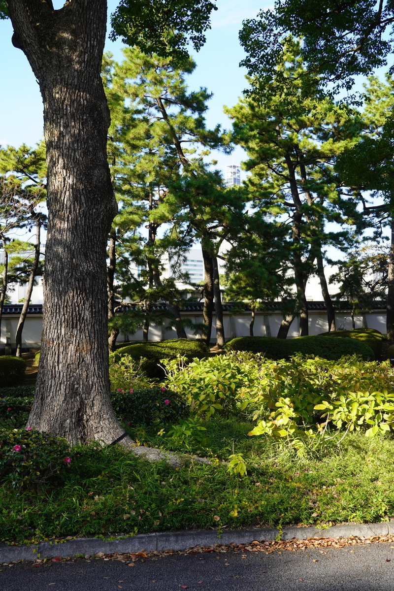 f:id:arashi_golf:20211129194225j:plain