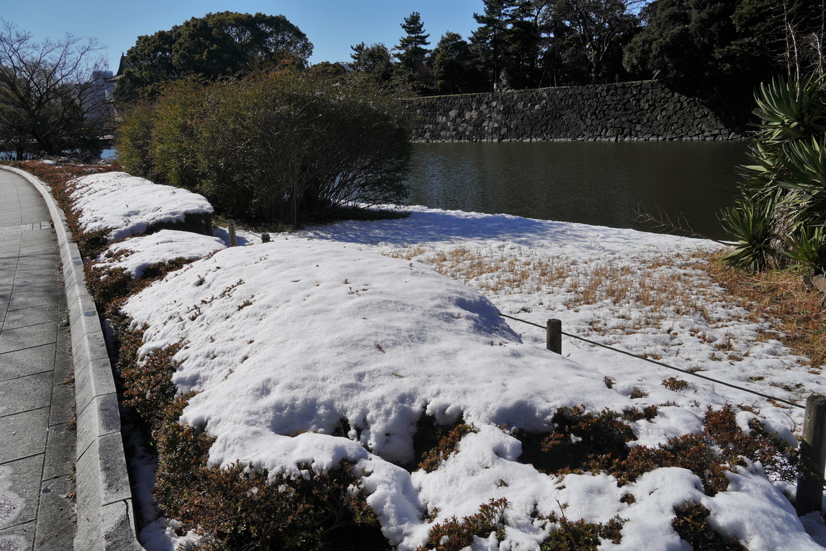 f:id:arashi_golf:20220110204217j:plain