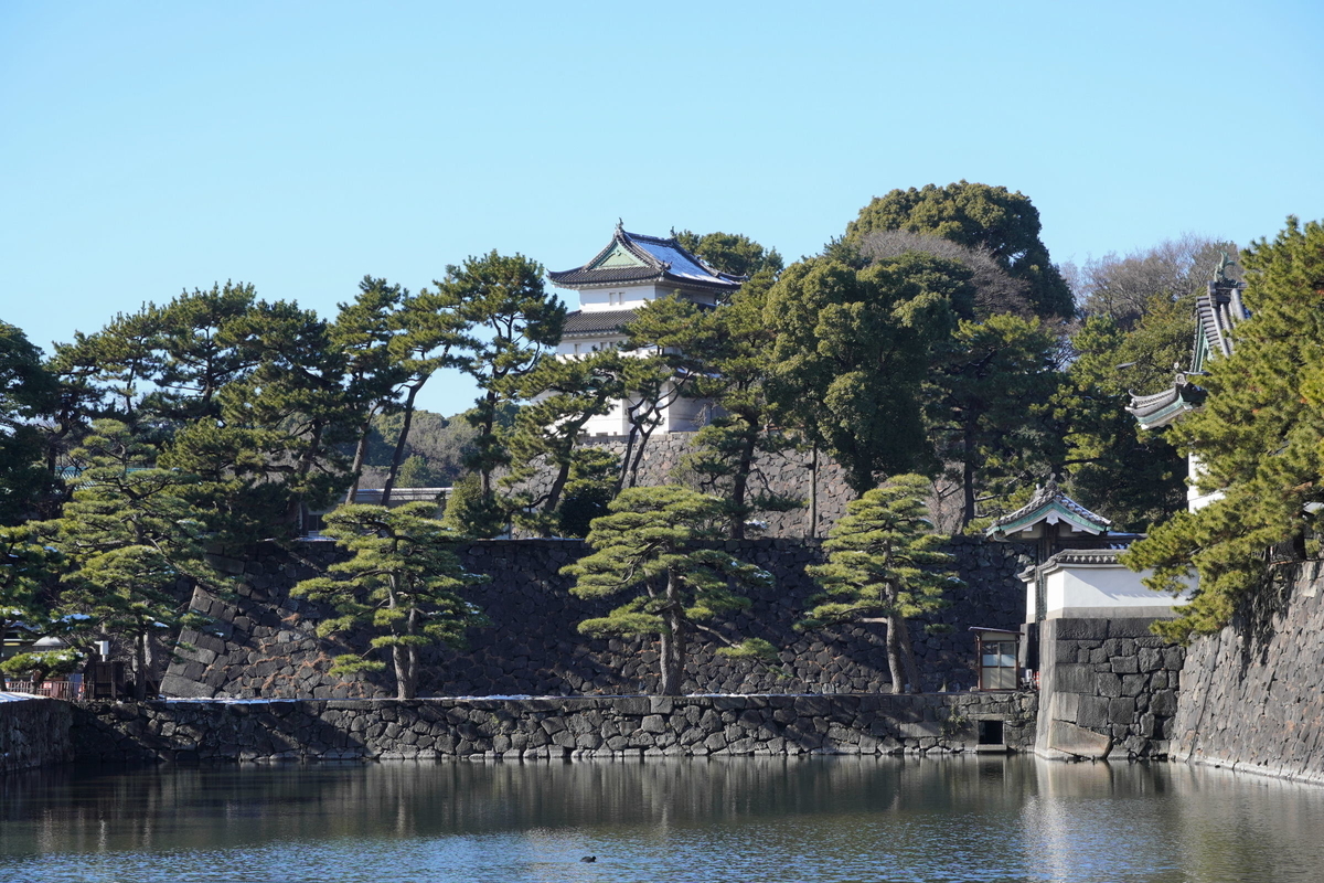 f:id:arashi_golf:20220111202126j:plain