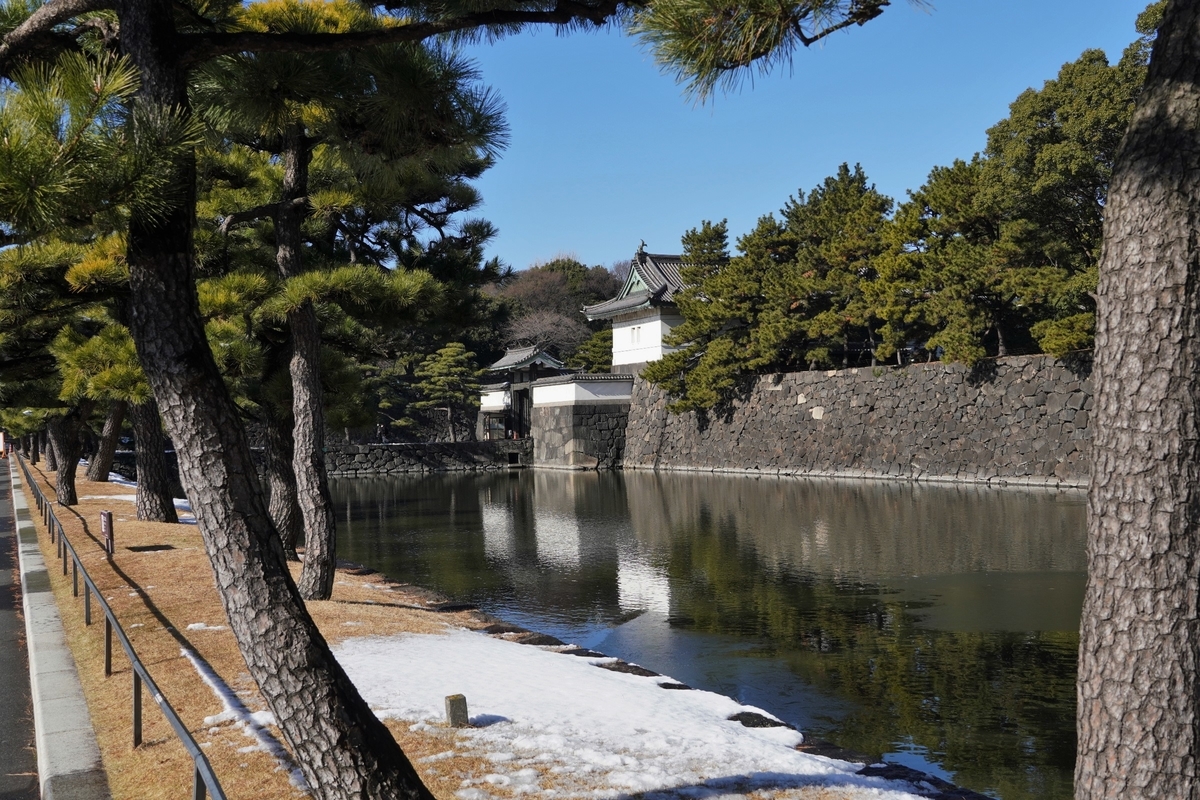 f:id:arashi_golf:20220111202723j:plain