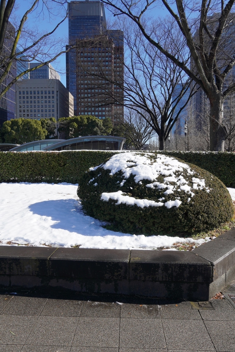 f:id:arashi_golf:20220111203458j:plain