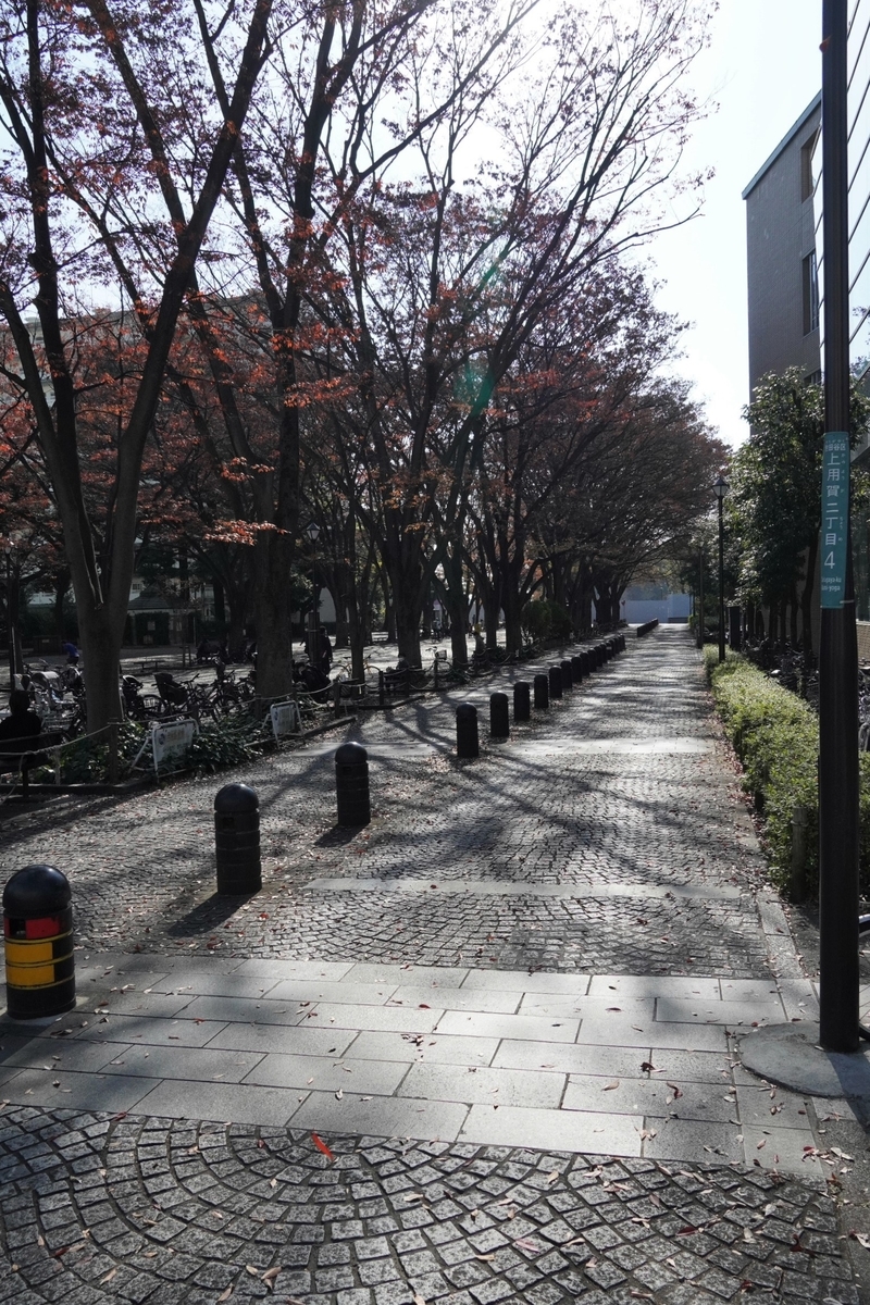 f:id:arashi_golf:20220116165519j:plain