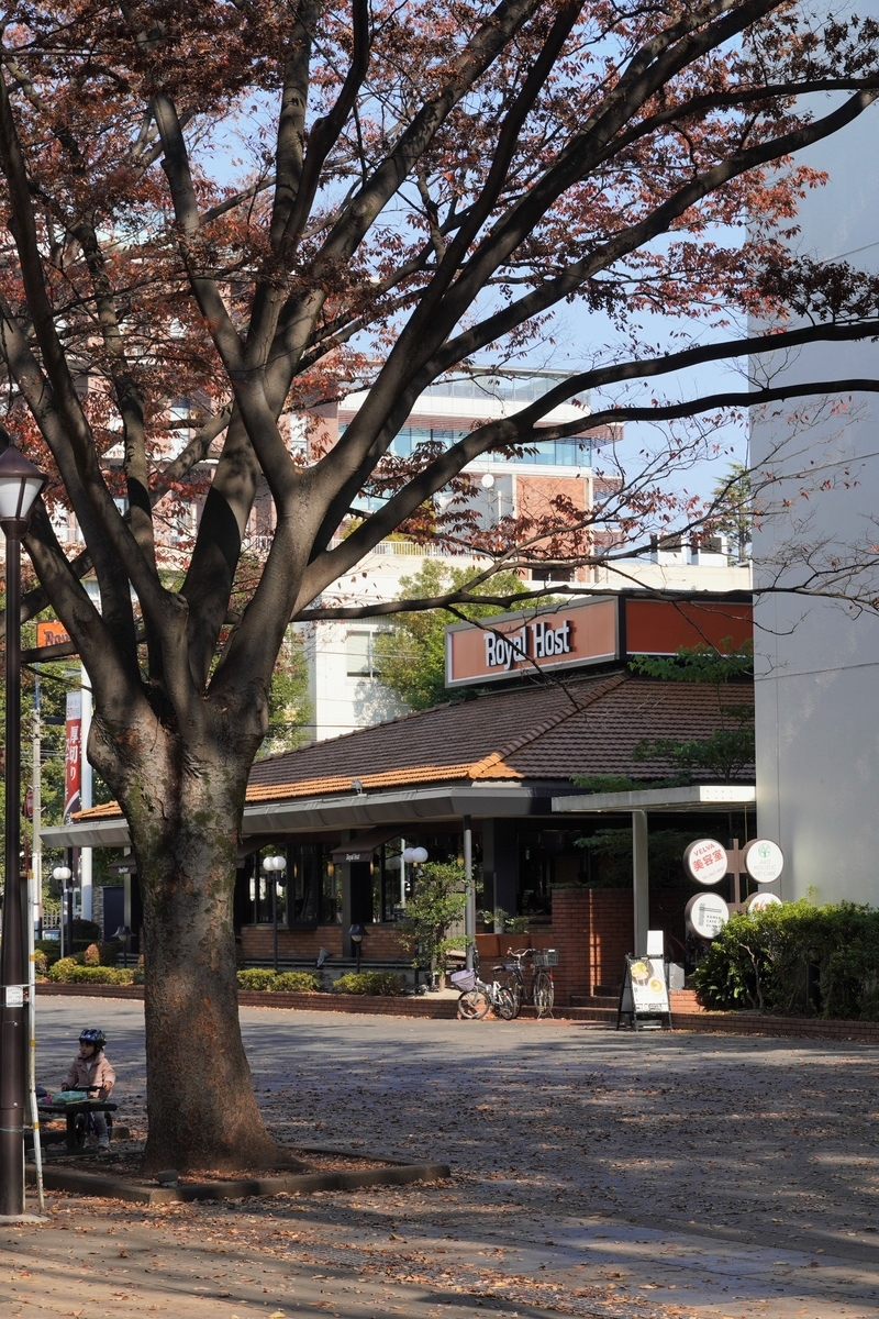 f:id:arashi_golf:20220116171321j:plain