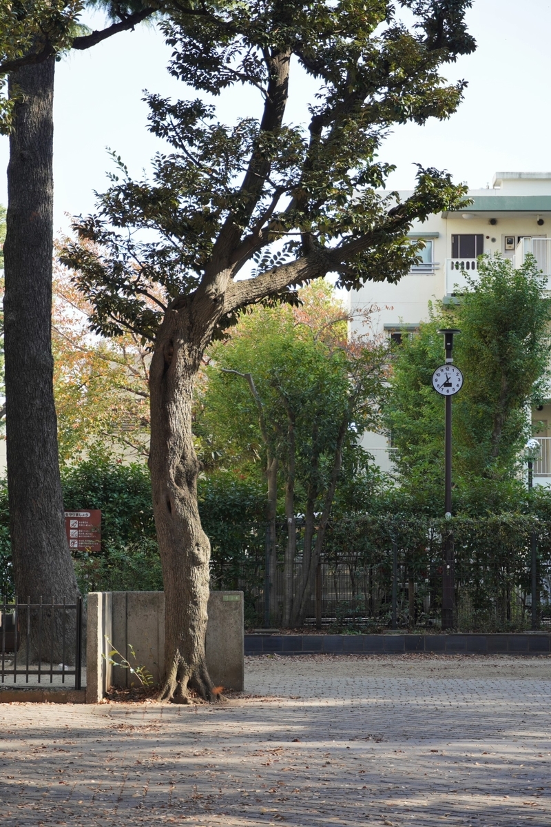 f:id:arashi_golf:20220116171556j:plain