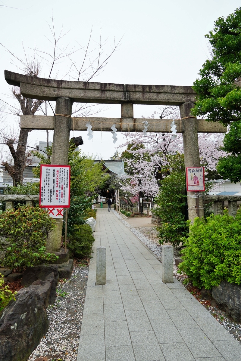 f:id:arashi_golf:20220331215357j:plain