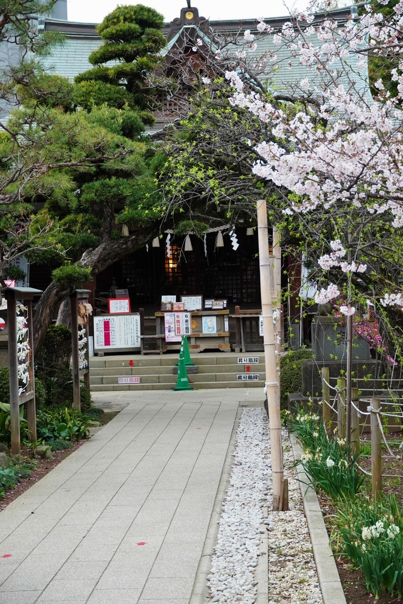 f:id:arashi_golf:20220331215451j:plain