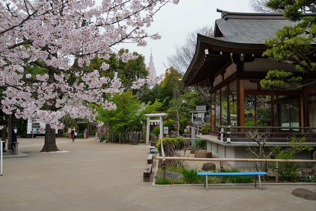 f:id:arashi_golf:20220331220123j:plain