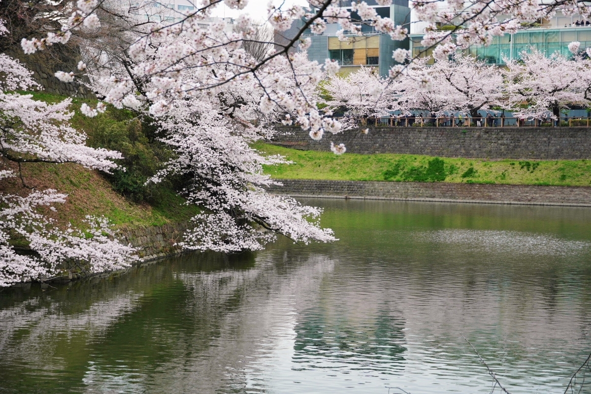 f:id:arashi_golf:20220402145948j:plain