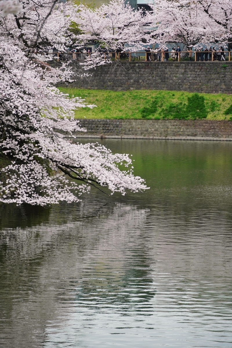 f:id:arashi_golf:20220402150014j:plain
