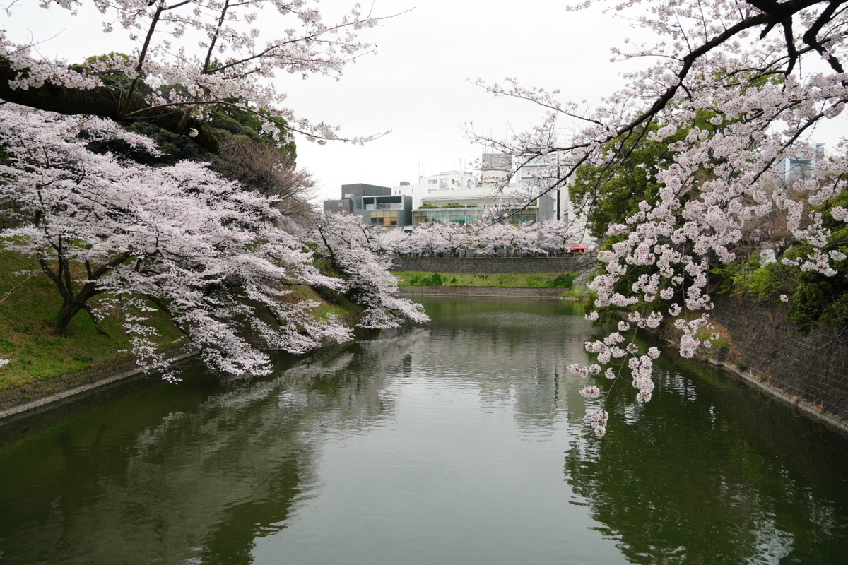 f:id:arashi_golf:20220402150052j:plain