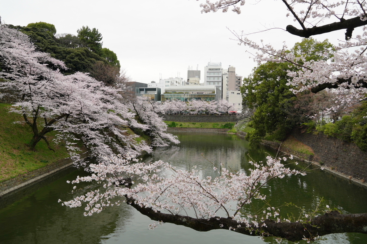 f:id:arashi_golf:20220402150213j:plain