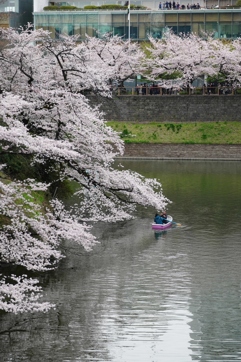 f:id:arashi_golf:20220402151020j:plain