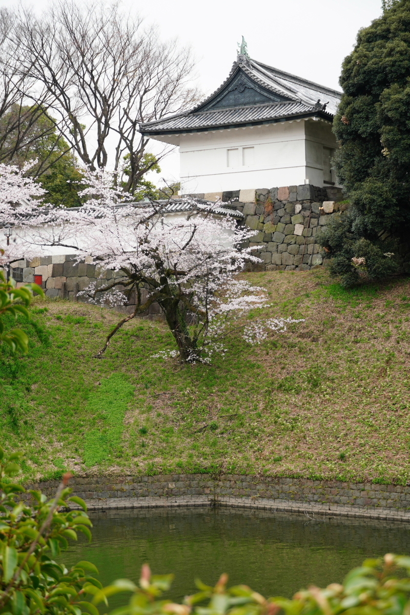 f:id:arashi_golf:20220402151254j:plain